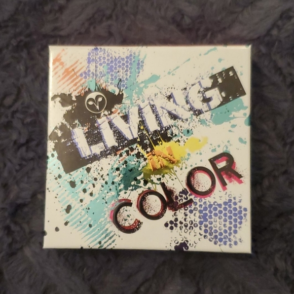 Living in color pallet - Picture 3 of 5